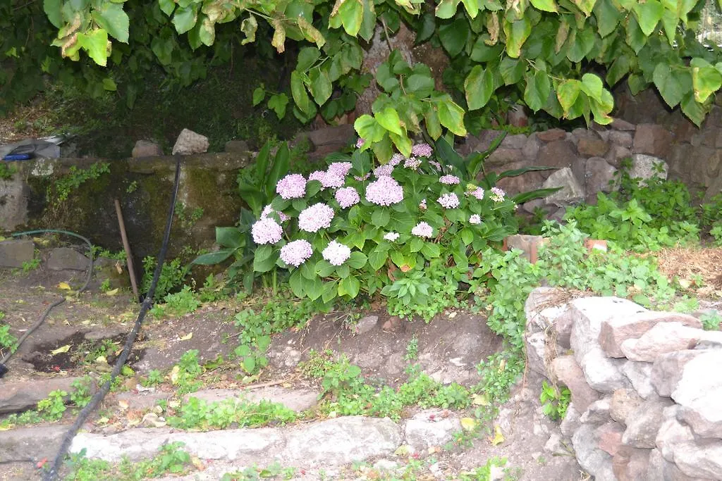 Su Ghindalu Guesthouse Pensionat Villanova Monteleone